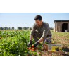 Luvas para trabalhar na agricultura
