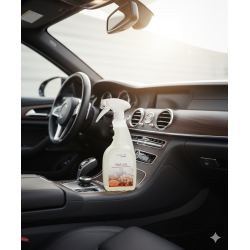 Ambientador para automóvel