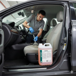 Lavar estofos de automóvel