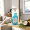 Limpa Vidros Glass 750ml – Brilho Sem Marcas - Pimenta & Leão